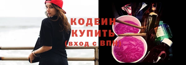 прущий лед Арсеньев